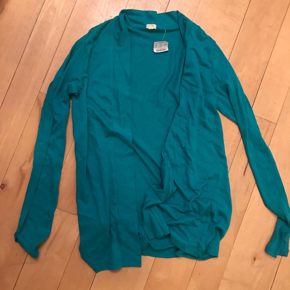Teal Sweater from J Crew
